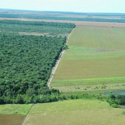 Foto de Áreas de Reserva Legal a Venda