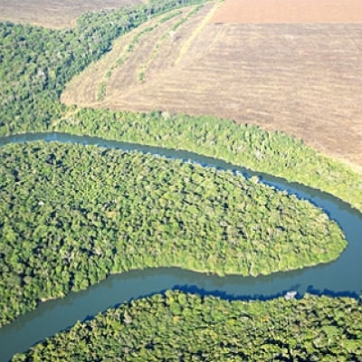 Foto de Áreas de Reserva Legal a Venda