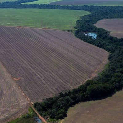 Foto de Áreas de Reserva Legal a Venda