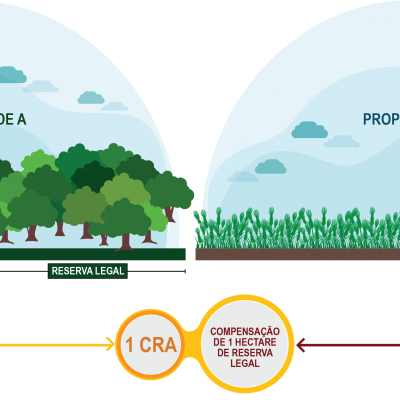 Foto de Áreas de Reserva Legal a Venda