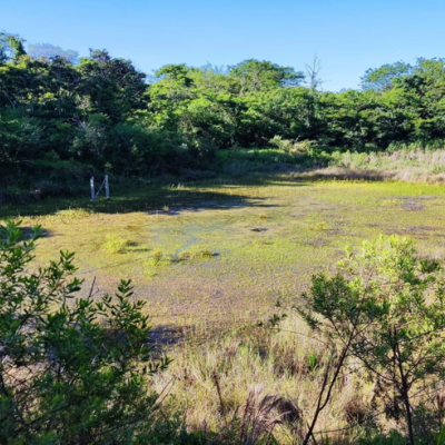 Foto de CHÁCARA NO DISTRITO DE IGUATEMI