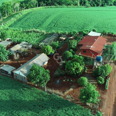 Foto de Sítio à Venda - Sarandi - PR