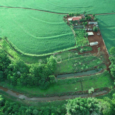 Foto de Sítio à Venda - Sarandi - PR