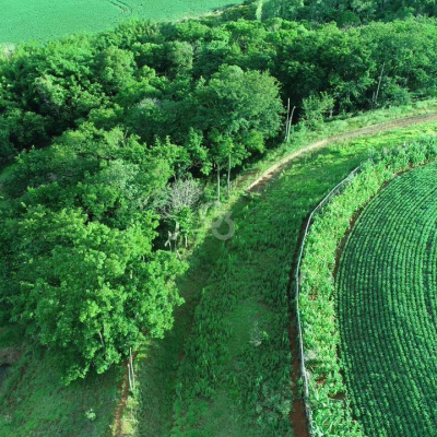 Foto de Sítio à Venda - Sarandi - PR