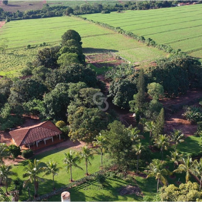 Foto de Sítio à Venda - Iguatemi (Distrito de Maringá)