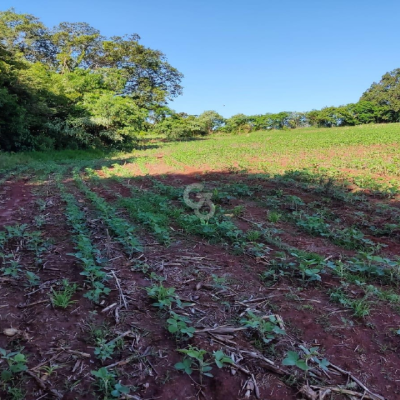 Foto de Sítio à Venda - Iguatemi (Distrito de Maringá)