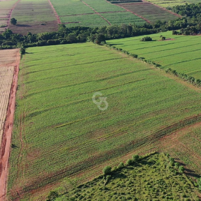 Foto de Sítio à Venda - Iguatemi (Distrito de Maringá)