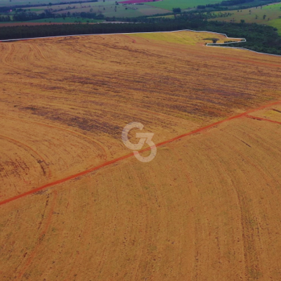 Foto de Fazenda à Venda, Santa Mônica – Paraná.