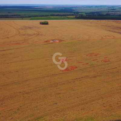 Foto de Fazenda à Venda, Santa Mônica – Paraná.