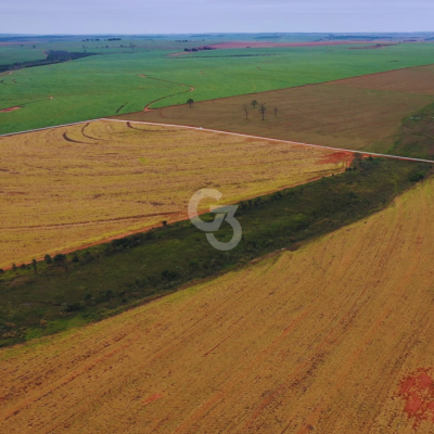 Foto de Fazenda à Venda, Santa Mônica – Paraná.