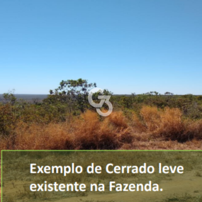 Foto de Fazenda à Venda, Mateiros - TO 