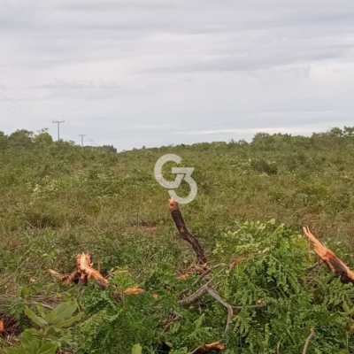 Foto de Fazenda à Venda, Mateiros - TO 