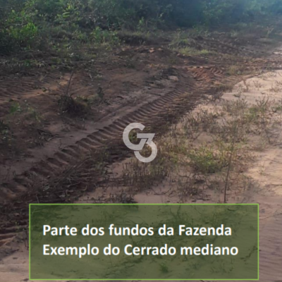 Foto de Fazenda à Venda, Mateiros - TO 