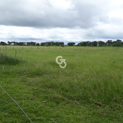 Foto de Fazenda à Venda, Araguaiana - MT