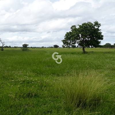 Foto de Fazenda à Venda, Araguaiana - MT