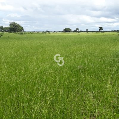 Foto de Fazenda à Venda, Araguaiana - MT