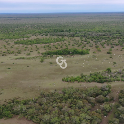 Foto de Fazenda à Venda, Araguaiana - MT