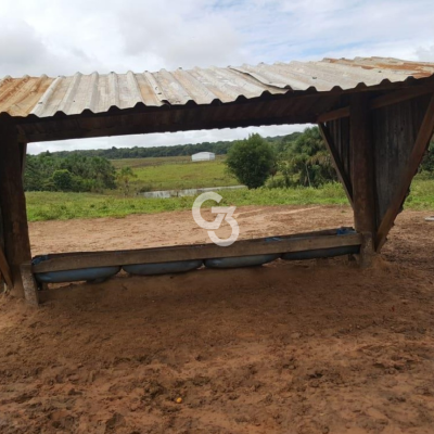 Foto de Fazenda à Venda, São José do Rio Claro - MT 