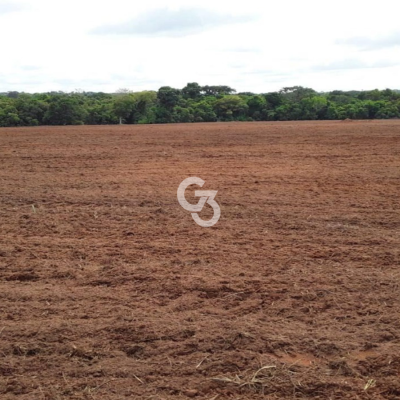 Foto de Fazenda à Venda, São José do Rio Claro - MT 