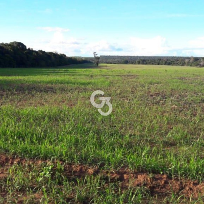 Foto de Fazenda à Venda, São José do Rio Claro - MT 