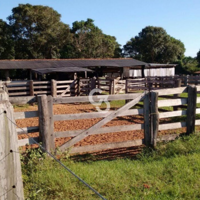 Foto de Fazenda à Venda, São José do Rio Claro - MT 