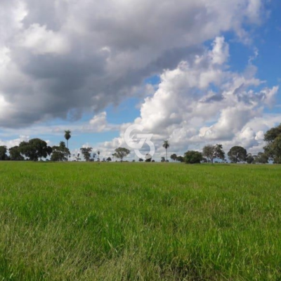 Foto de Fazenda à Venda, São José do Rio Claro - MT 