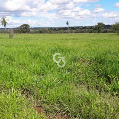 Foto de Fazenda à Venda, São José do Rio Claro - MT 