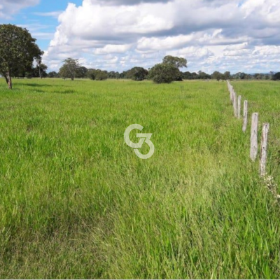 Foto de Fazenda à Venda, São José do Rio Claro - MT 