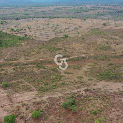 Foto de Fazenda à Venda, Arraias - Tocantins