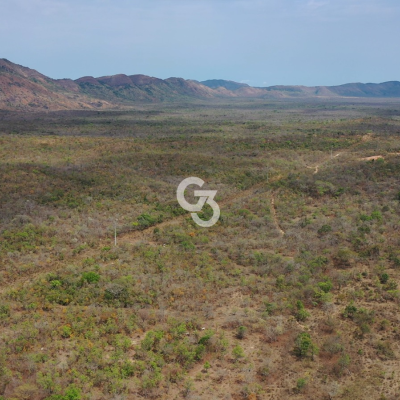 Foto de Fazenda à Venda, Arraias - Tocantins