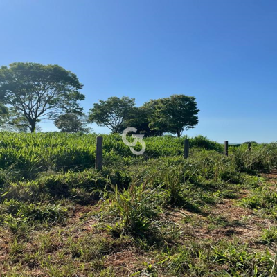 Foto de Fazenda à Venda, Querência do Norte – Paraná