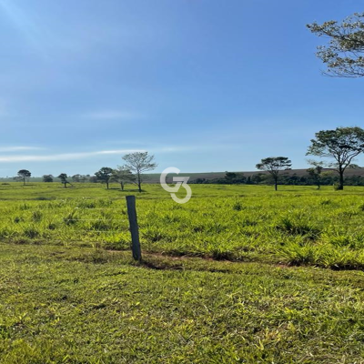 Foto de Fazenda à Venda, Querência do Norte – Paraná