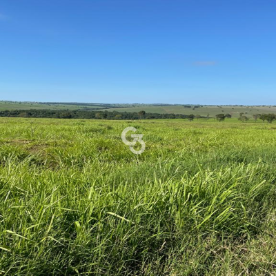 Foto de Fazenda à Venda, Querência do Norte – Paraná