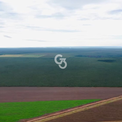 Foto de Fazenda à Venda, Palmeira do Piauí - Piauí 