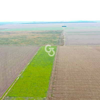 Foto de Fazenda à Venda, Palmeira do Piauí - Piauí 