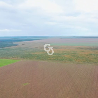 Foto de Fazenda à Venda, Palmeira do Piauí - Piauí 