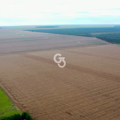 Foto de Fazenda à Venda, Palmeira do Piauí - Piauí 