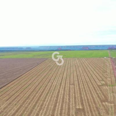 Foto de Fazenda à Venda, Palmeira do Piauí - Piauí 