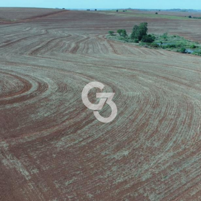 Foto de Fazenda à Venda, Orizona - Paraná 