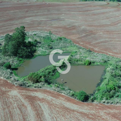 Foto de Fazenda à Venda, Orizona - Paraná 