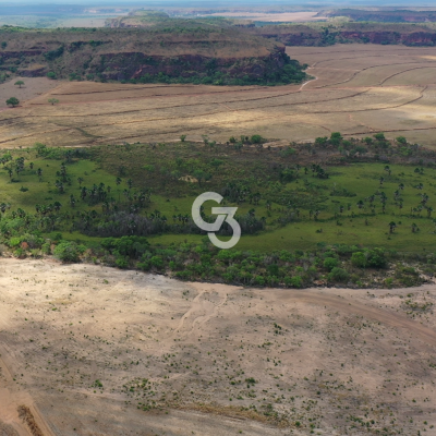 Foto de Fazenda à Venda, Novo Acordo - TO 