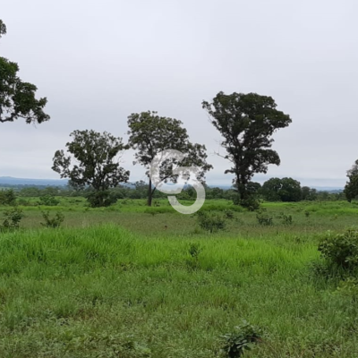 Foto de Fazenda à Venda, Itacajá - TO 