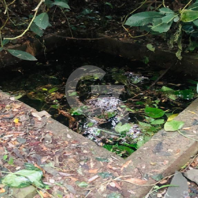 Foto de Chacará à Venda - Condomínio Zaúna