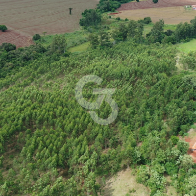 Foto de Sítio à Venda - Maringá - PR